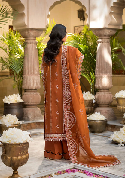 beautiful Embroidered Organza Back Yock in rust color.