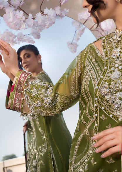 beautiful closeimage of Embroidered Organza Hand Embellished Front.